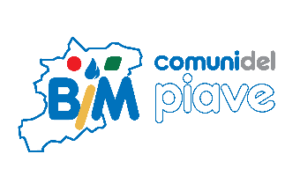 BIM Piave consortium